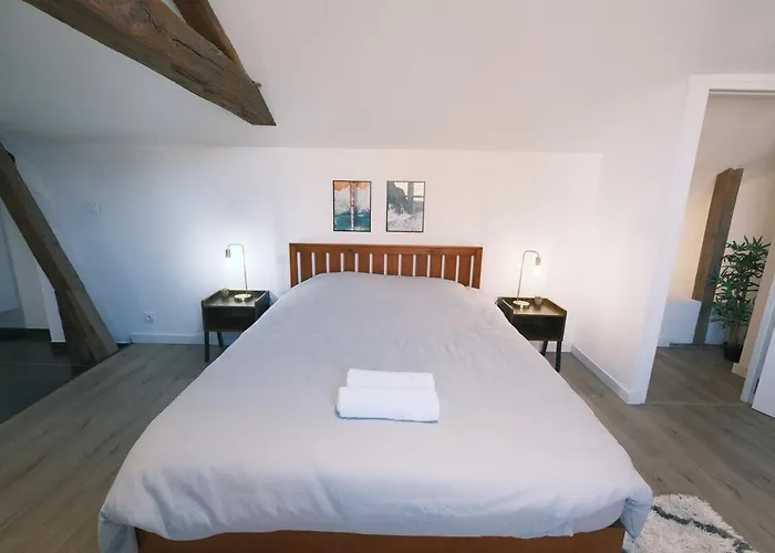 Appartement Casa : L'eclat De La Doutre Angers